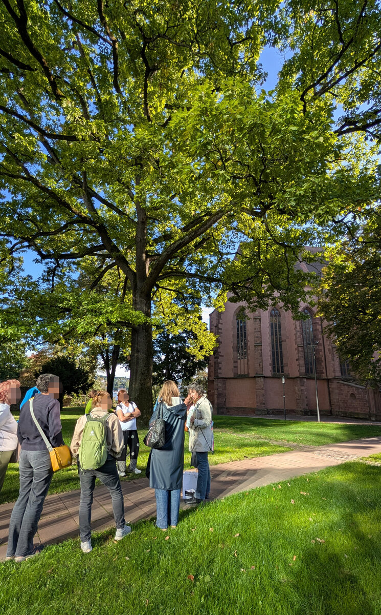 Teilnehmergruppe im Park, die sich unterhalten - copyright: Stadt Pforzheim - Ersteller: Stadt Pforzheim